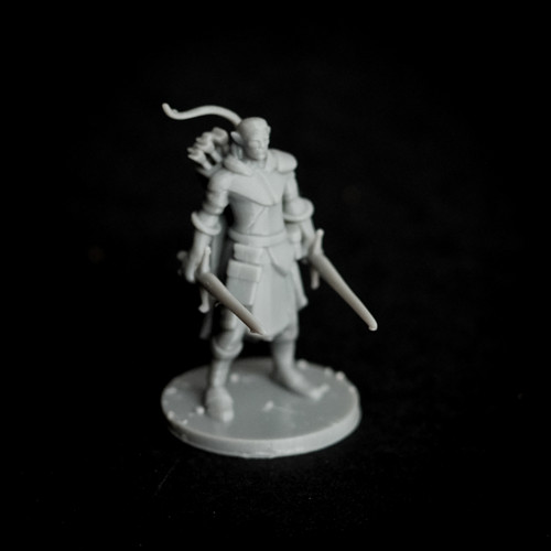 Elf Ranger Dual Wielding (Male)